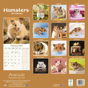 Calendrier 2026 Hamster