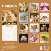 Calendrier Mural 2025 Hamster