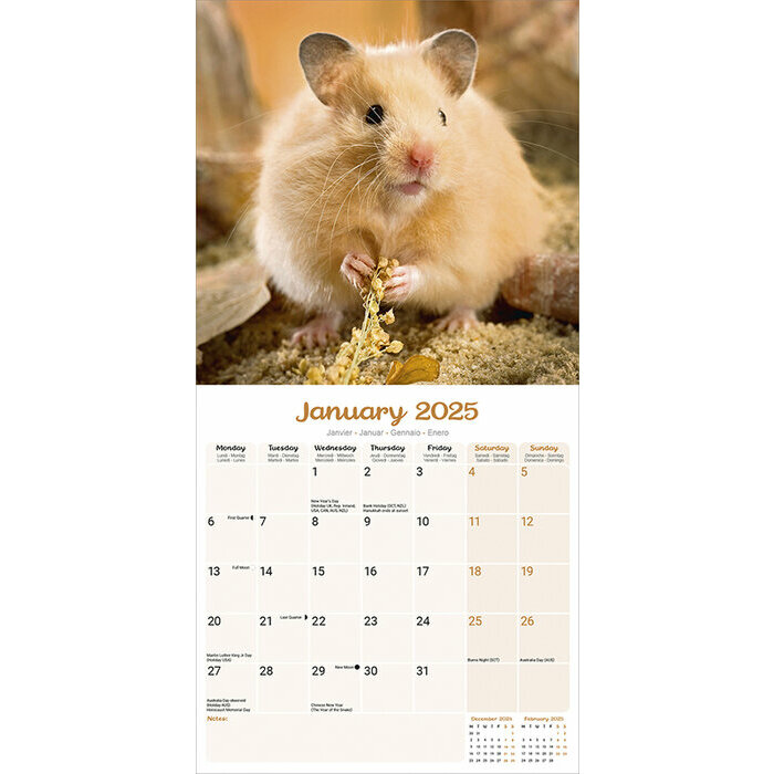 Calendrier 2025 Hamster