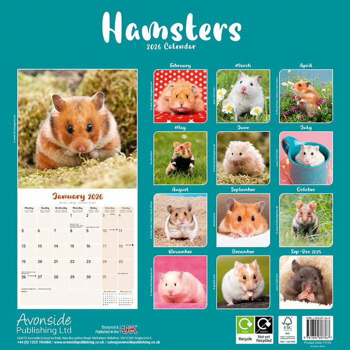 Calendrier Papier 2026 Hamster fleu