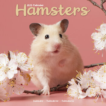 Calendrier 2026 Hamster