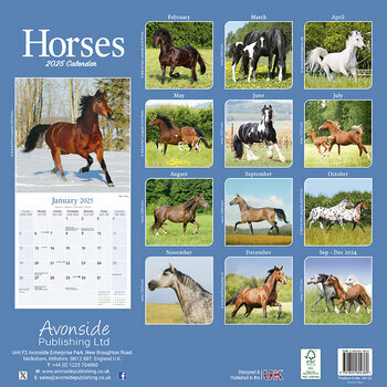 Calendrier 2026 Chevaux Allures