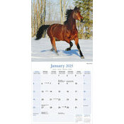 Calendrier 2025 Cheval