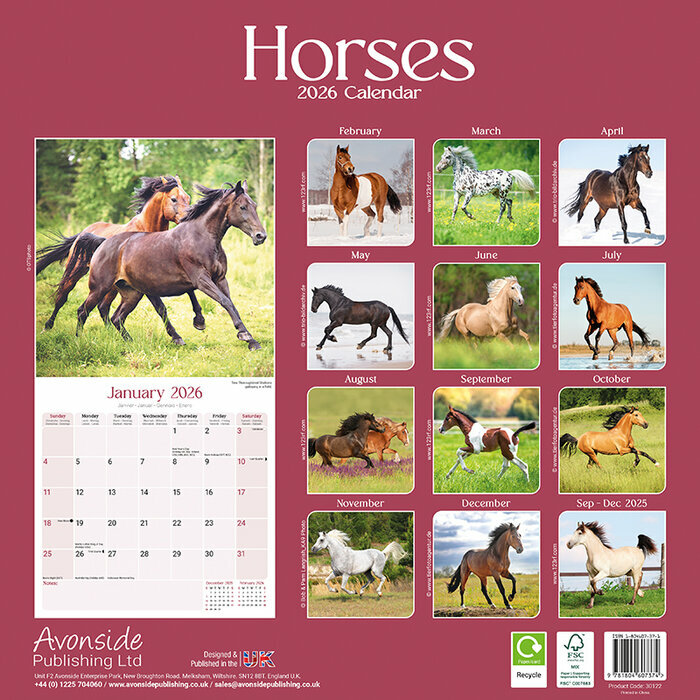 Calendrier Papier 2026 Chevaux