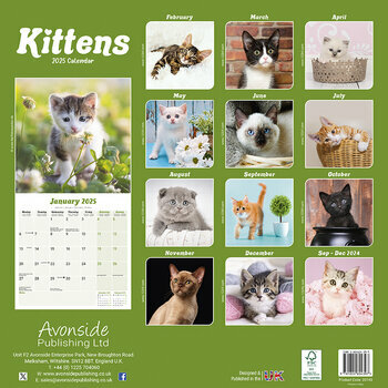 Calendrier 2026 Chaton