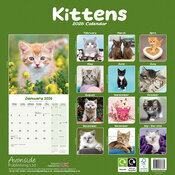 Calendrier Papier 2026 Chatons tigr