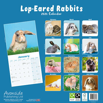 Calendrier 2026 Lapin oreilles tombantes