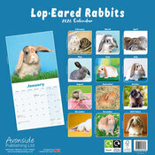 Calendrier 2026 papier  Lapin oreilles tombantes gris et blanc