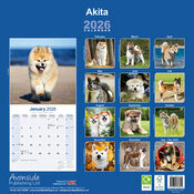 Calendrier Mural 2026 papier Grand Akita Amricain