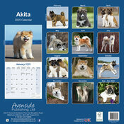 Calendrier Mural 2025 Akita Inu Grand Chien Japonais