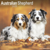 Calendrier Mural 2025 Berger Australien Bleu Merle Duo