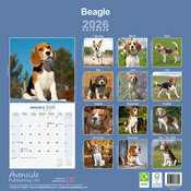 Calendrier papier 2026 Chien Beagle Nature