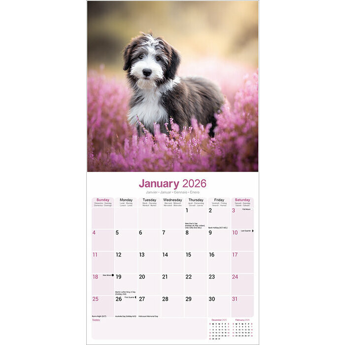 Calendrier 2026 Chien Bearded Collie Nature