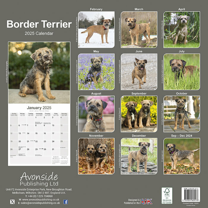 Calendrier Mural 2025 Border Terrier