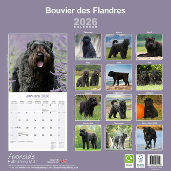 Calendrier 2025 Bouvier des Flandres