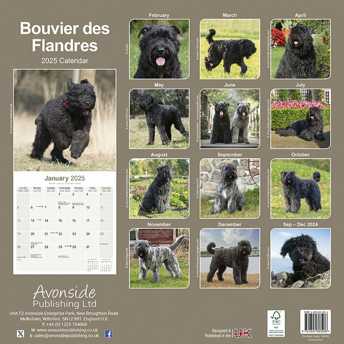 Calendrier Mural 2025 Bouvier des Flandres