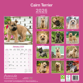 Calendrier 2026 Cairn Terrier