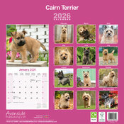 Calendrier Cairn Terrier papier 2026