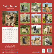 Calendrier Mural Terrier Cairn 2025