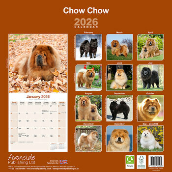 Calendrier 2025 Chow Chow