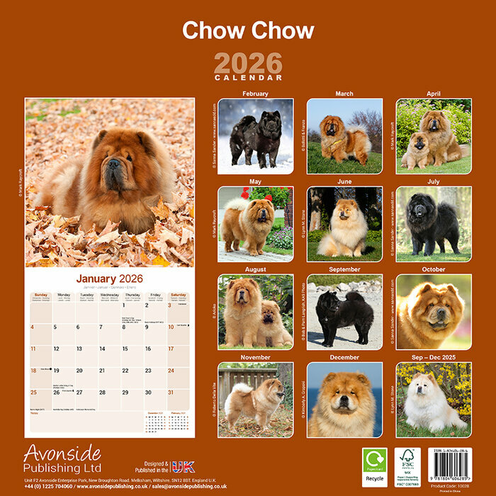 Calendrier 2026 papier Chow Chow