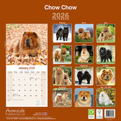 Calendrier 2026 papier Chow Chow