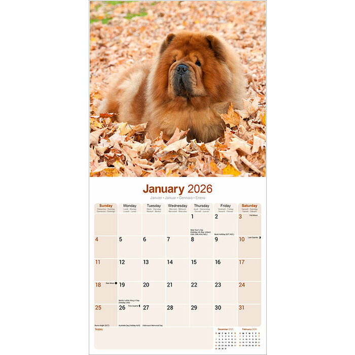 Calendrier 2026 Chow Chow