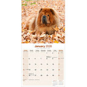 Calendrier 2026 Chow Chow