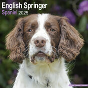 Calendrier Springer 2025 Chasse