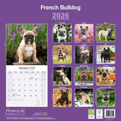 Calendrier Bouledogue Français 2026