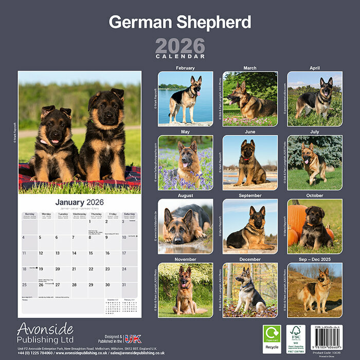Calendrier Mural Berger Allemand 2026 