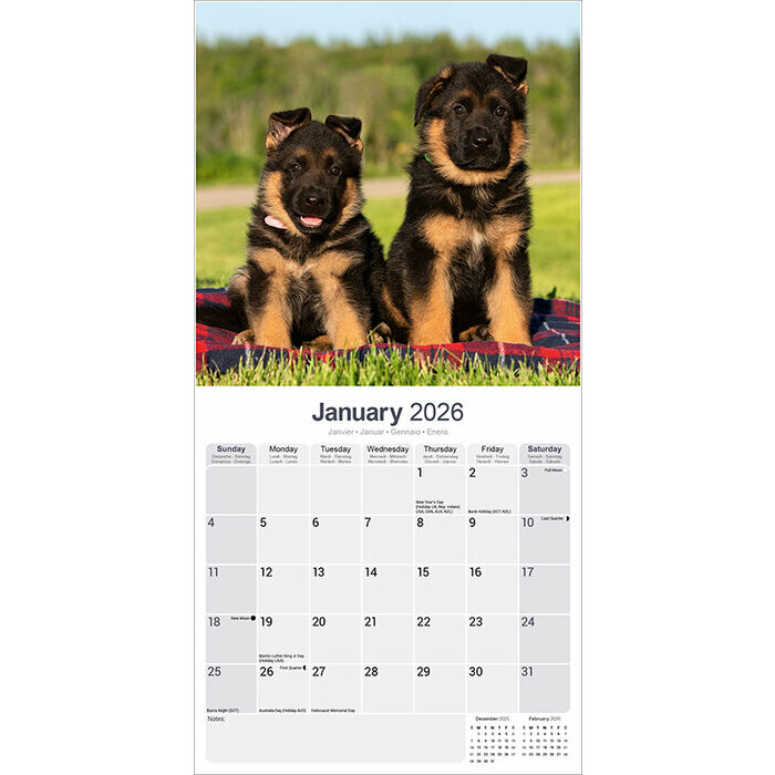 Calendrier Mural Berger Allemand 2026 papier