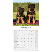 Calendrier Mural Berger Allemand 2026 papier