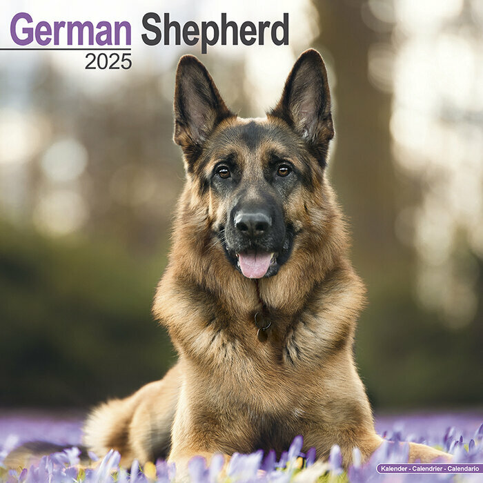 Calendrier Mural Berger Allemand 2025 assis