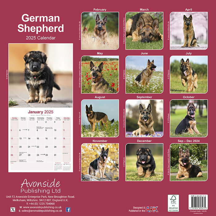 Calendrier 2025 Berger Allemand adulte et Chiots