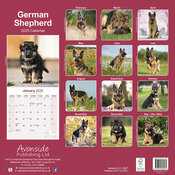 Calendrier 2025 Berger Allemand adulte et Chiots
