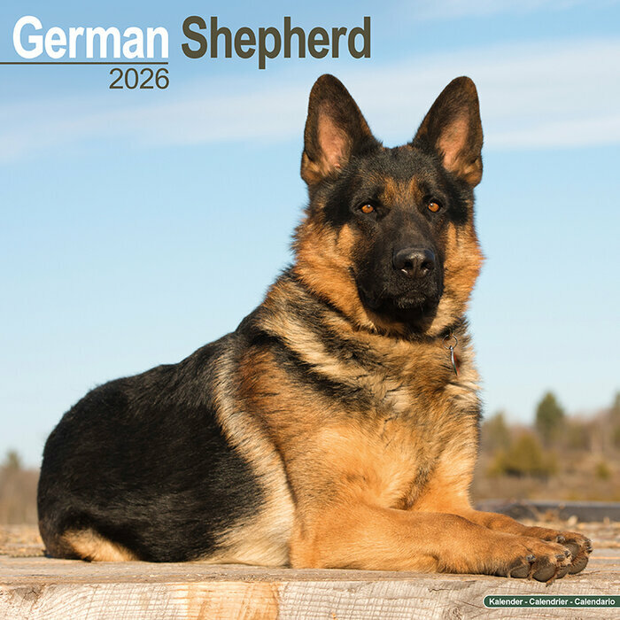Calendrier Mural Berger Allemand 2026 assis