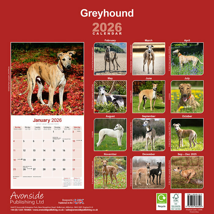 Calendrier papier Greyhound 2026