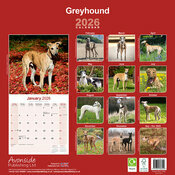 Calendrier papier Greyhound 2026