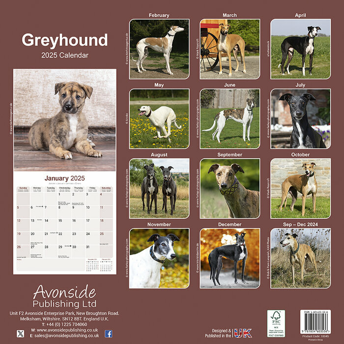 Calendrier Greyhound 2025 Toutes Couleurs