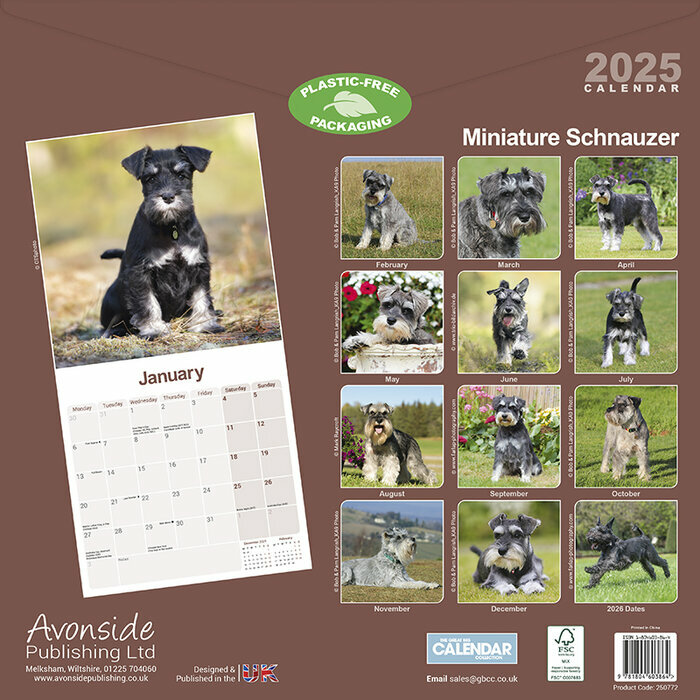 Calendrier Schnauzer Nain 2025