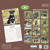 Calendrier Schnauzer Nain 2025