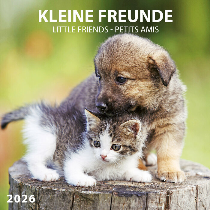 Calendrier Papier 2026 couple Panda Animaux