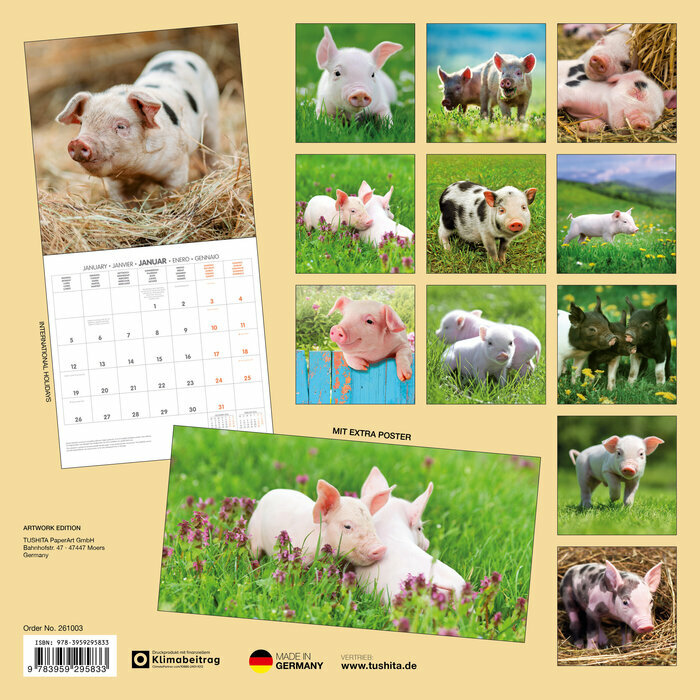 Calendrier Papier 2025 Cochon Ferme