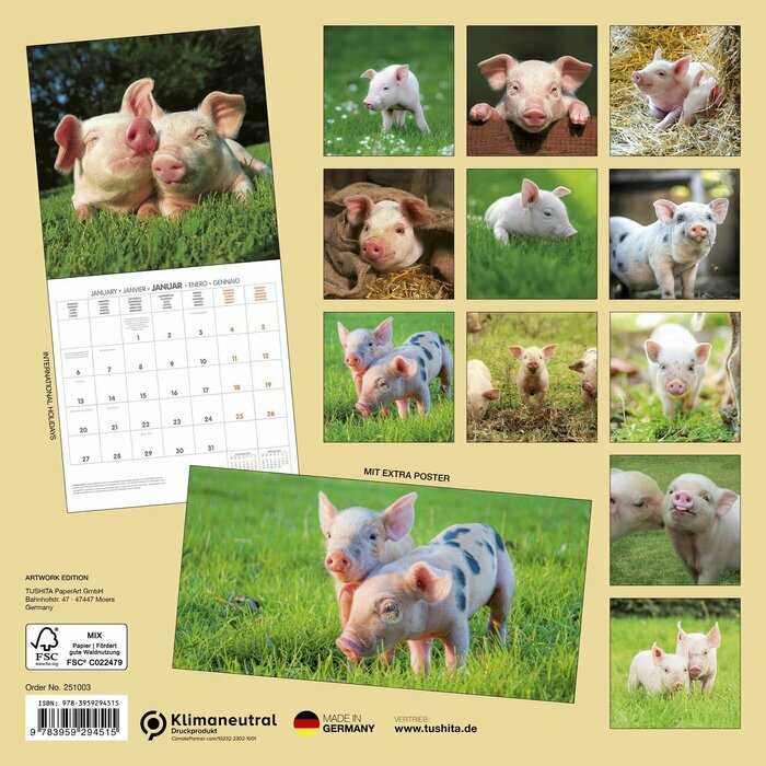 Calendrier Mural 2025 Cochon Porcelet Ferme