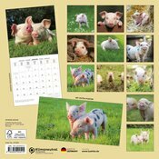 Calendrier Mural 2025 Cochon Porcelet Ferme