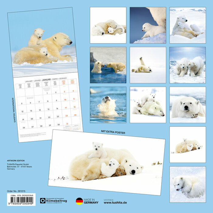 Calendrier Papier Ours Polaire 2026 Banquise