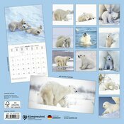 Calendrier Mural 2025 Ours Polaire