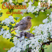  Calendrier Mural 2025 Moineaux Oiseaux du Jardin