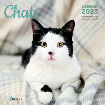 Calendrier 2025 Chats Adorés